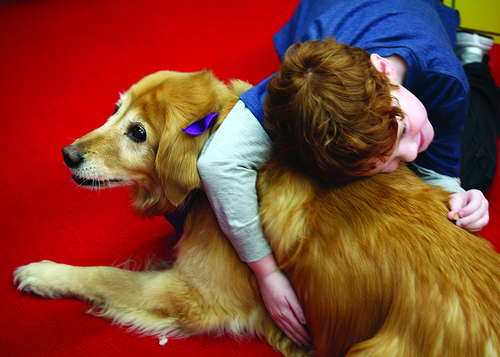 Benefícios emocionais da assistência com animais