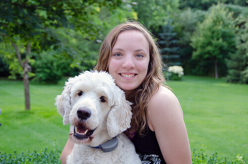 Porque os cachorros sentem amor por nós?