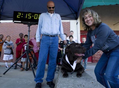 Uma cadela penetra em uma meia maratona e fica em 7º lugar