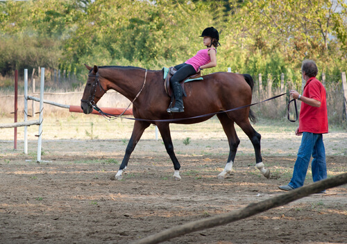 Terapia com cavalo