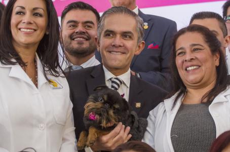 Cidade do México inaugura seu primeiro hospital veterinário público