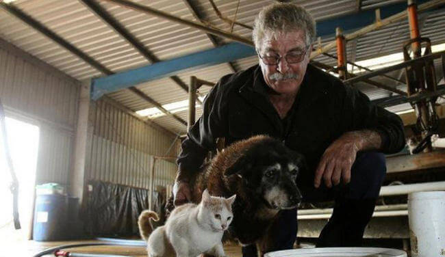 Homem e cadela mais velha do mundo