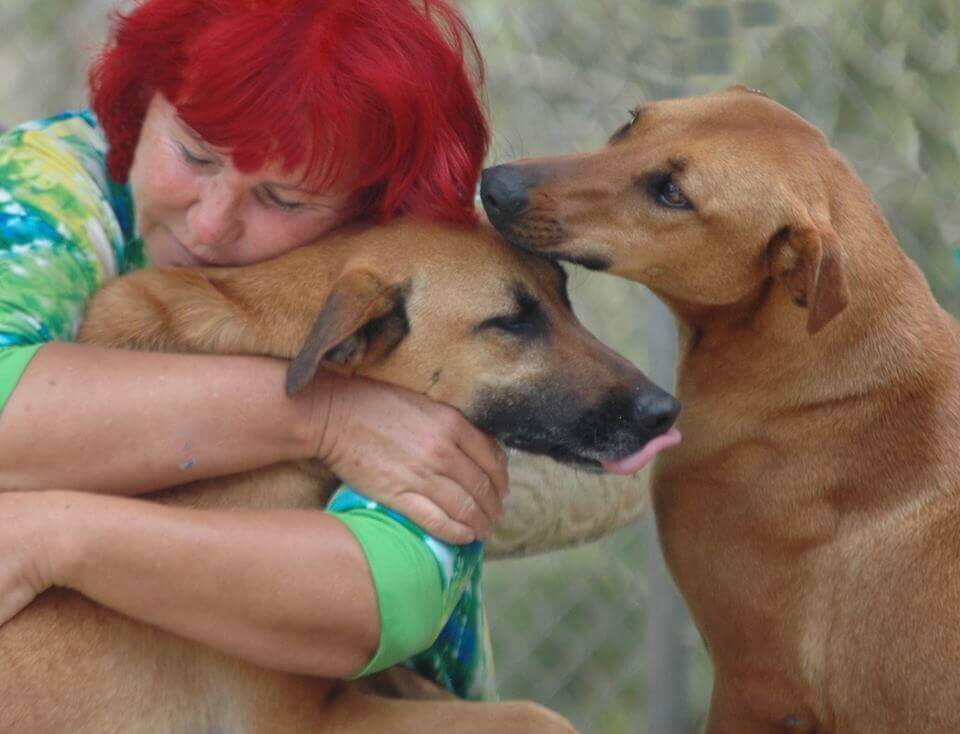 Uma mulher na Costa Rica usa todas as suas economias para cuidar de mais de 200 cães abandonados