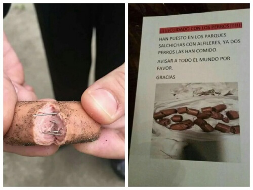 salsichas com alfinetes