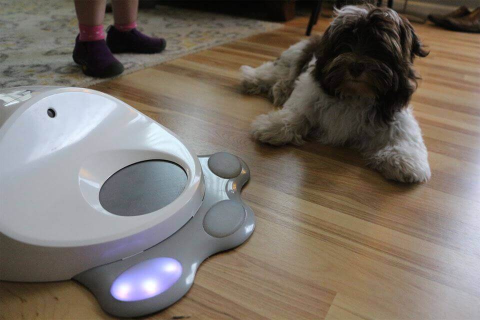 Seu cão já pode ter seu próprio videogame