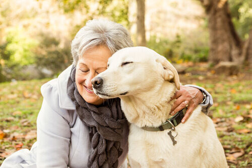 Convivência entre idosos e cães: como isso afeta a saúde