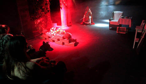 Os cães foram ao teatro em Madri