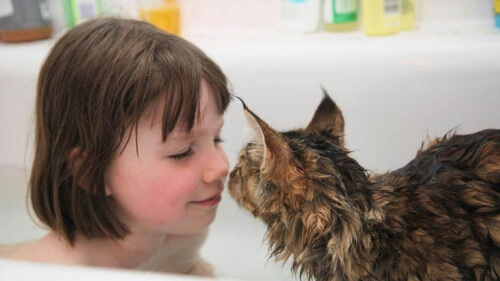A incrível relação de uma criança autista e seu gato