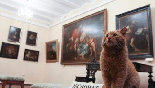 Um gato virou o concierge de um museu