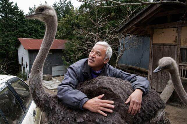 Naoto com avestruz