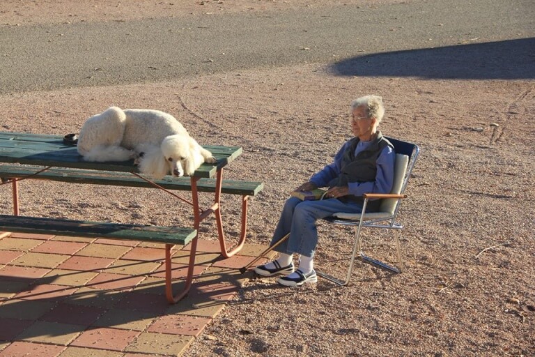 viúva de 90 anos que viaja com seu cão