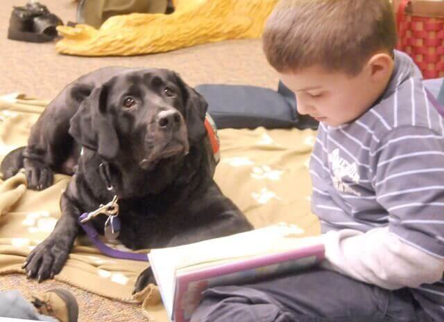 Os cães facilitam a aprendizagem infantil