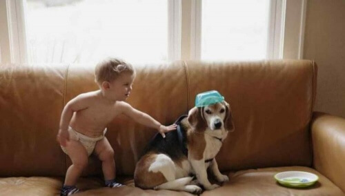 Um menino envia uma carta para seu cão morto e recebe uma bela resposta