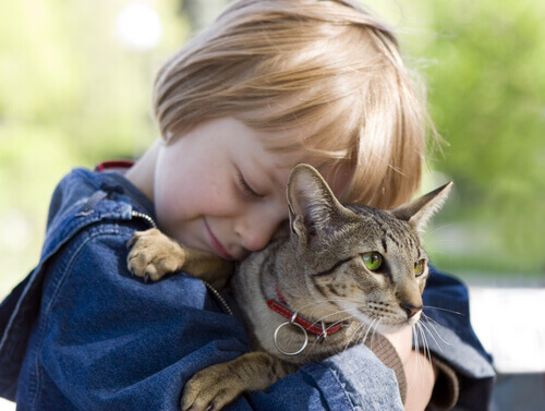 5 lições que as crianças podem aprender com gatos