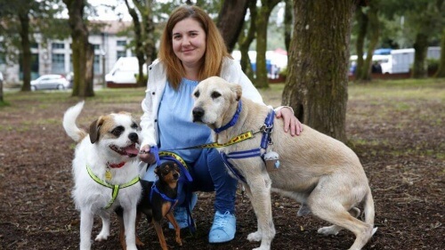 A madrinha dos cães maltratados