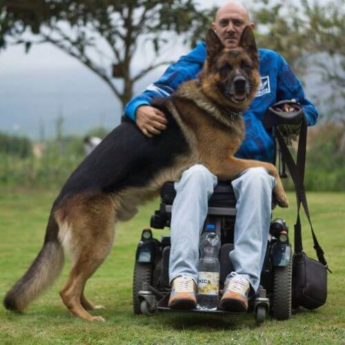 amor-sem-limites-de-um-cao-por-seu-dono-internado-em-um-hospital-2