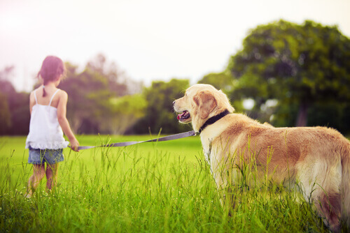 O que fazer quando uma criança pede um animal de estimação