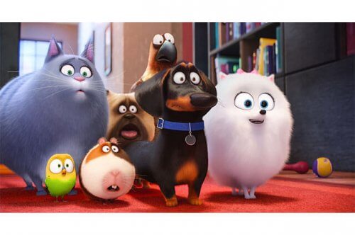"Pets", um incrível filme de animação