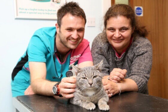 gato-que-sobreviveu-a-lavadora-2