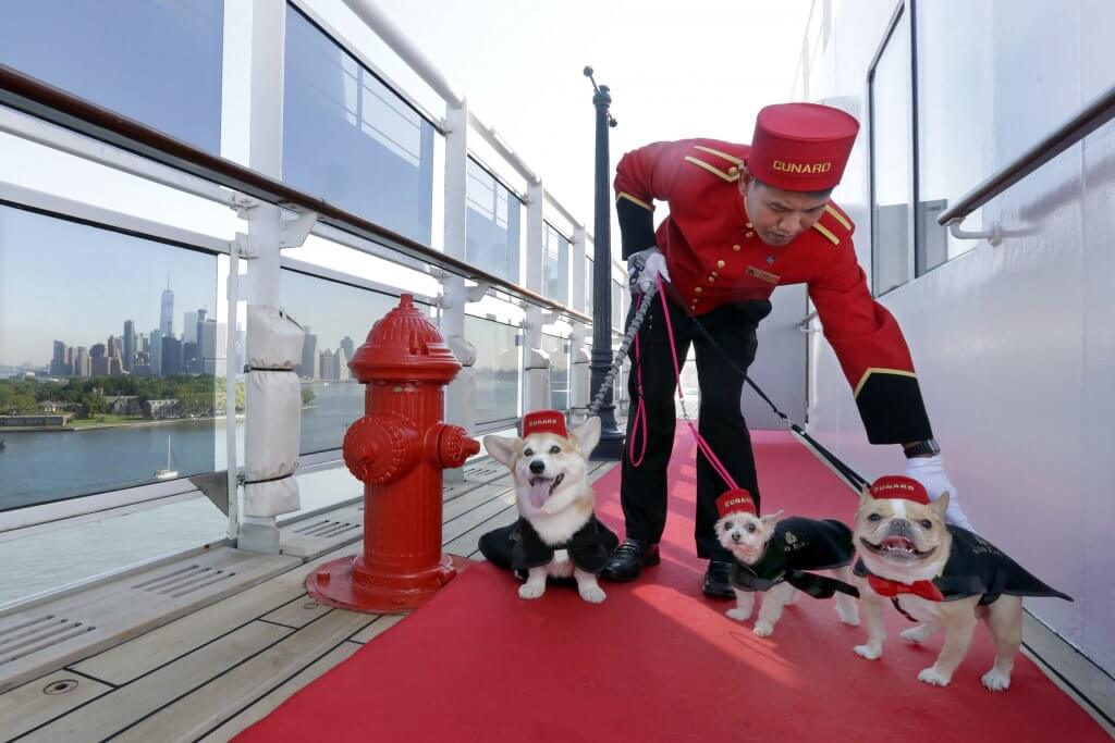 O cruzeiro Queen Mary agora é PetFriendly!