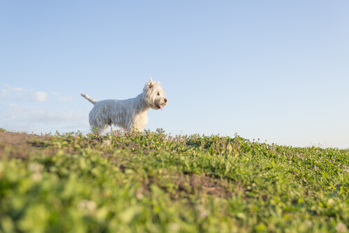 Desde o momento em que você partiu...