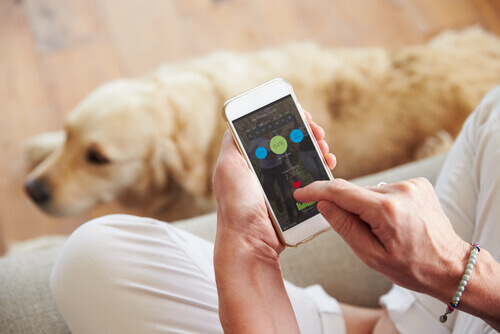 Os 5 melhores apps para você e seu cão