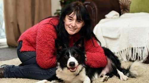 Um cachorro detecta um câncer de mama na sua dona