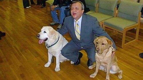 O cão-guia que, em 11/09, retornou para salvar a vida de seu dono