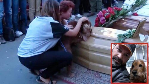 Um cão se nega a abandonar o caixão de seu dono, vítima do terremoto na Itália