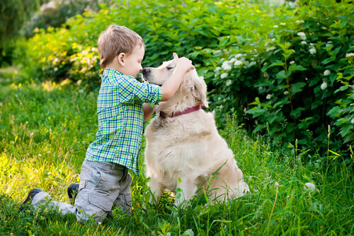 Seu filho precisa entender a linguagem corporal de seu cão