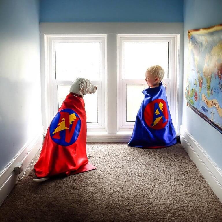 uma-cadelinha-supera-maus-tratos-2