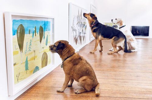 Primeira exposição no mundo criada para cães