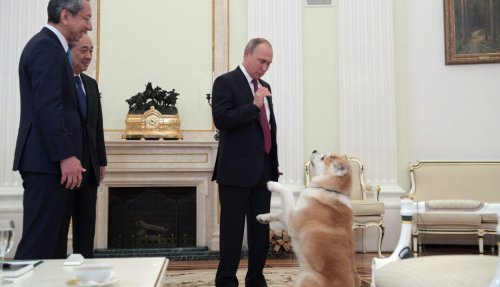 Cão de Vladimir Putin ‘assusta’ jornalistas japoneses
