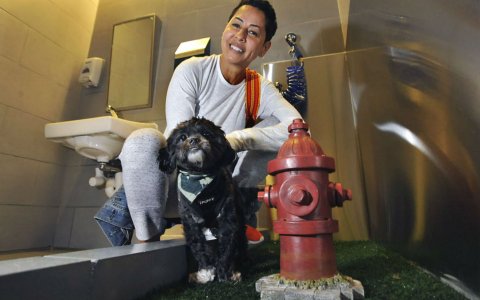 Já existem banheiros para animais de estimação em aeroportos