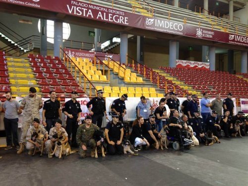 Adote um cão aposentado da Polícia