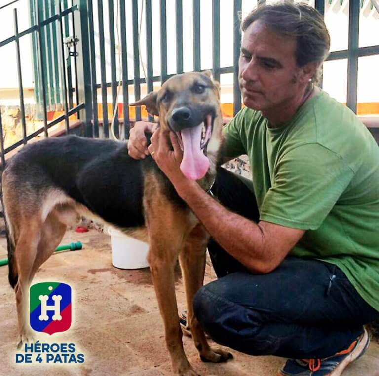 herois-de-4-patas-2-e1482593948332