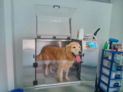 Como funcionam as máquinas de lavar cães
