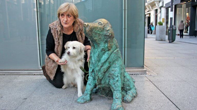 Ney, um cão que conquistou toda uma cidade da Espanha