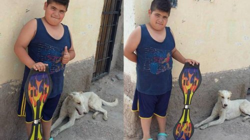 Uma criança vende seu patinete para comprar remédios para um cão de rua