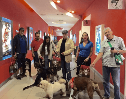 petfriendly-cinema-e1475105312127