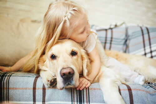 Amor do jeito certo: não abrace o seu cão!