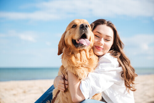 Existe uma conexão entre o seu cachorro e você?