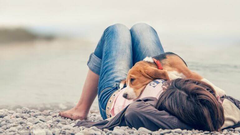 Cachorro deitado sobre a dona na praia