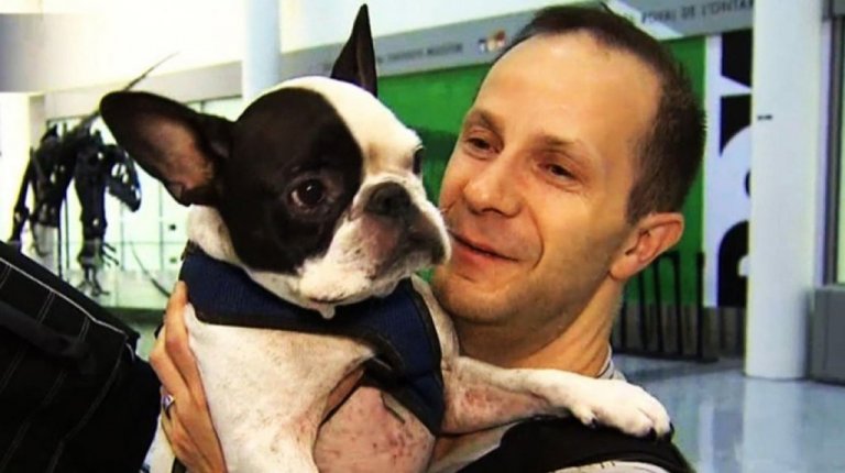 Um piloto de avião salva a vida de um cachorro