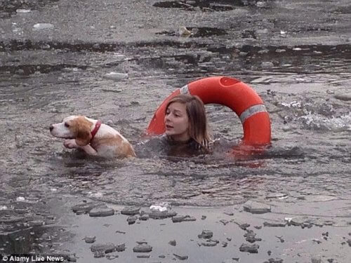 Mulher se joga em lago congelado para salvar um cão