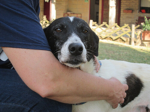 Lealdade: com você até o fim do mundo