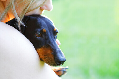 Conheça mulheres que lutaram pelos direitos dos animais