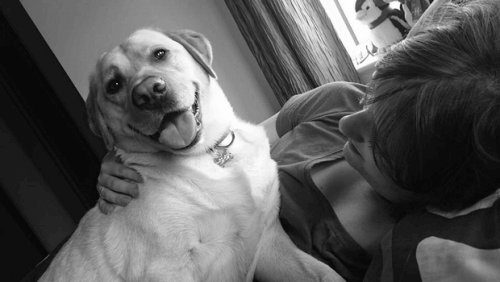 O gesto de amor de um cão para salvar a vida de sua dona