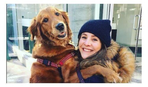 Conheça uma carinhosa cachorrinha que dá abraços em estranhos na rua