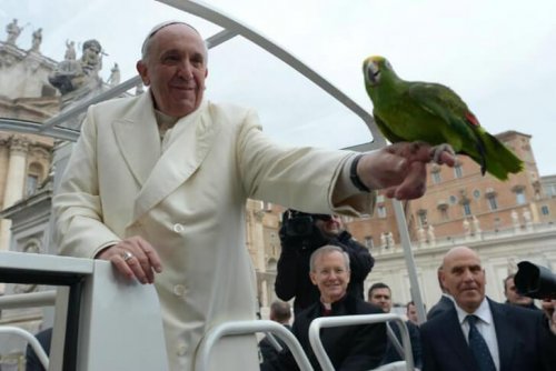 O Papa Francisco e os animais